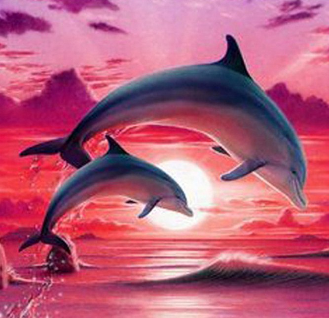 Dolphins DIY Diamond Painting Kit
