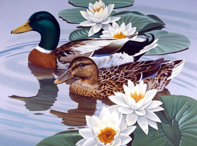 Ducks Pair & White Lotus Diamond Painting