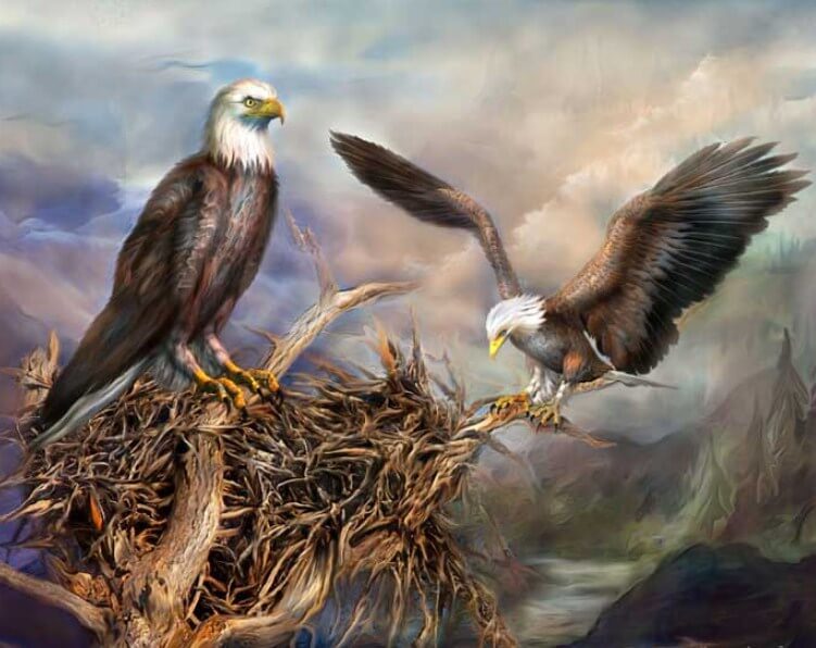 Eagle Nest Paint by Diamonds