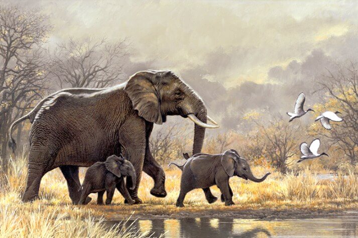 Elephants DIY Painting Kit