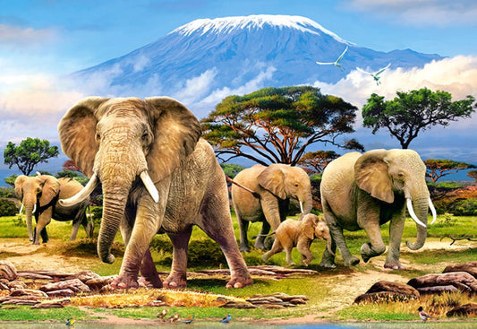 Elephant World Paint by Diamonds