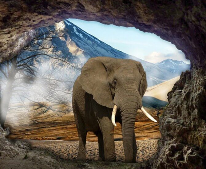 Elephant Full Drill Painting Kit