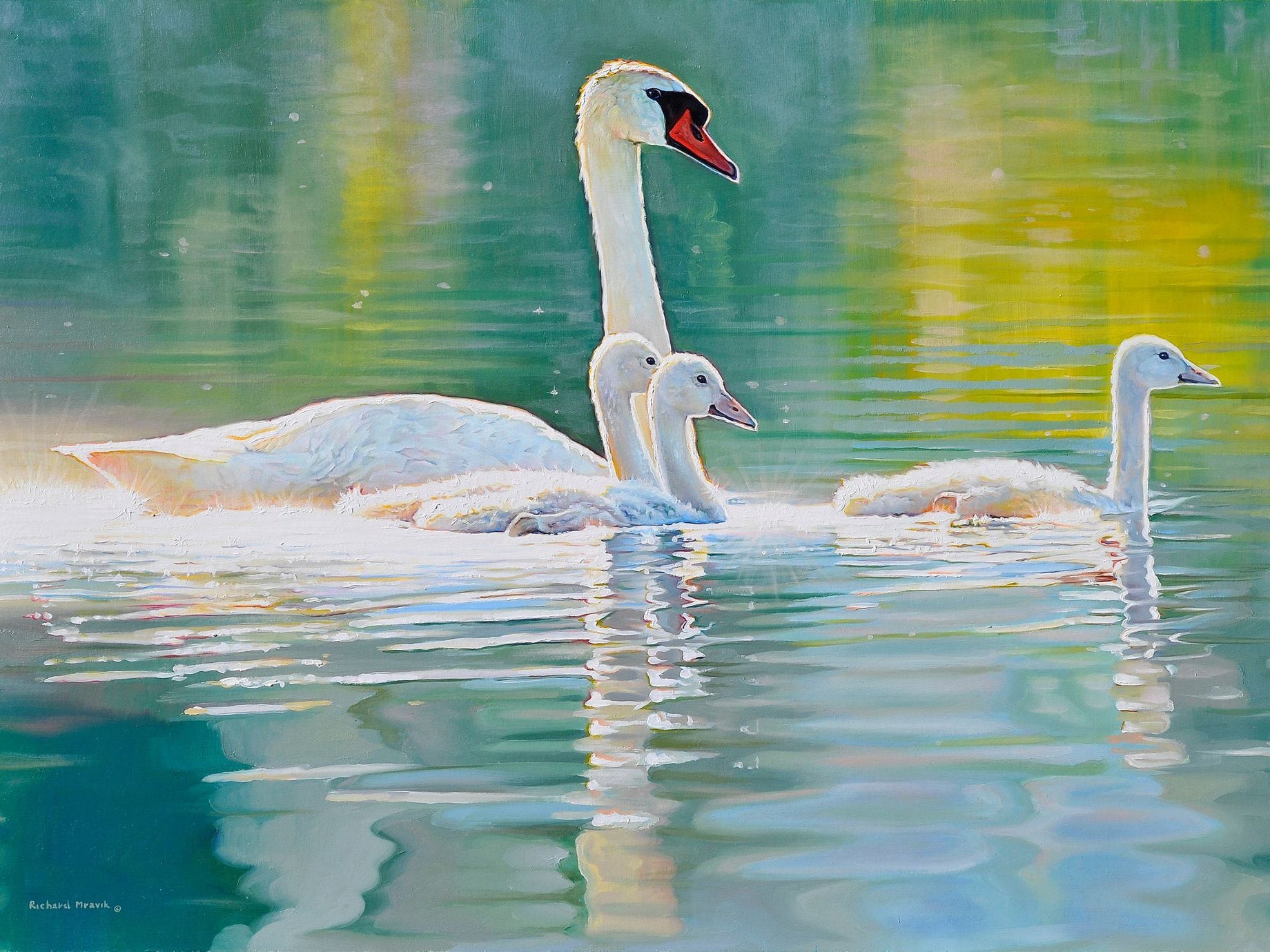 Family Swim