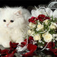 Cat Round Drill Painting Kit