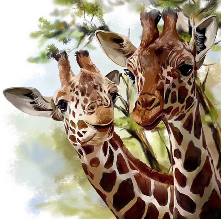 Giraffe Pair DIY Painting