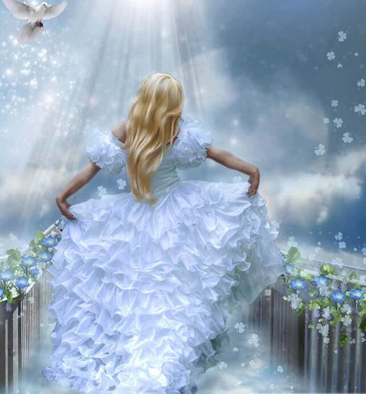 Girl in White Gown Painting Kit