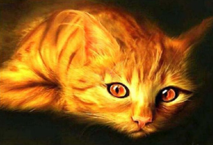 Golden Cat with Orange Eyes Paint by Diamonds