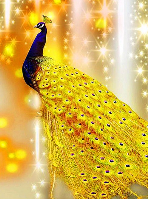 Golden Peacock Diamond Painting Kit