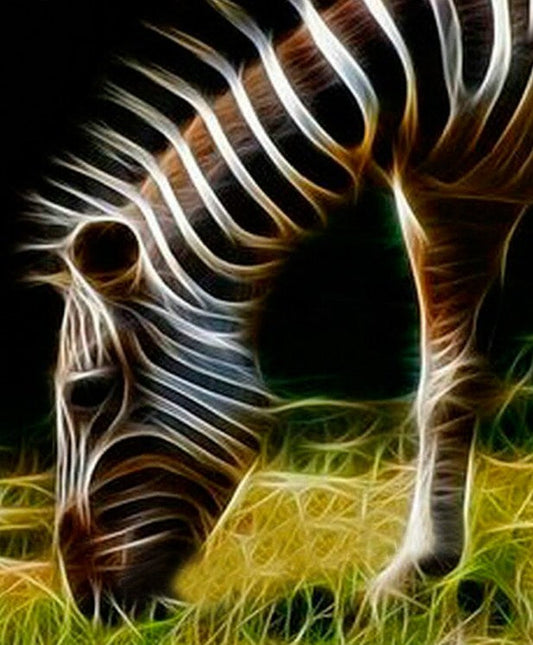 Grazing Zebra Paint by Diamonds