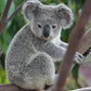 Koala Diamond Painting