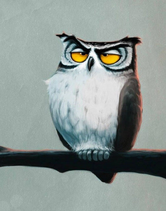 Grumpy Owl Diamond Painting Kit
