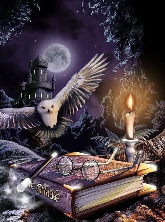 Harry Potter's Owl Diamond Painting Kit