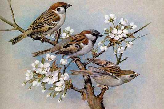 House Sparrows Paint by Diamonds