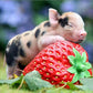 Pig DIY Diamond Painting
