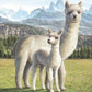Llama Diamond Painting Kit
