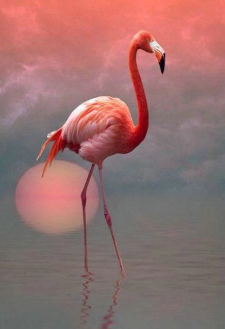 Lonely Flamingo & Setting Sun Diamond Painting