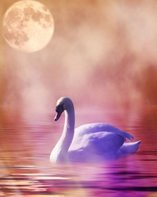 Lonely Swan Paint by Diamonds