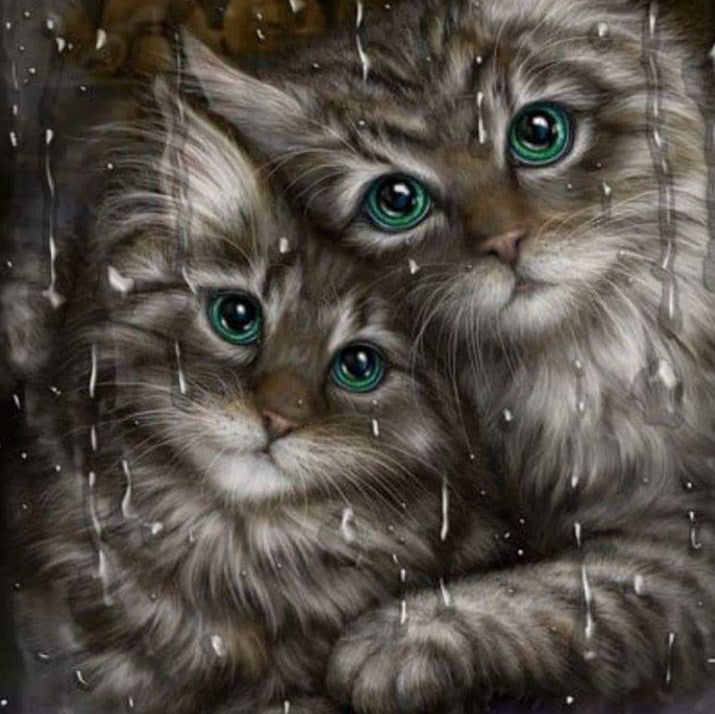 Lovely Cats with Green Eyes Diamond Painting