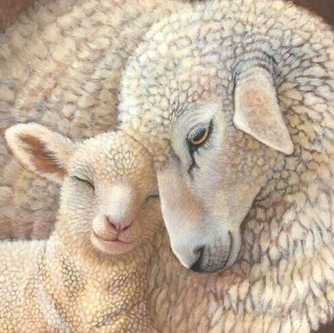 Sheep Paint by Diamonds