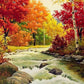 Nature Diamond Painting