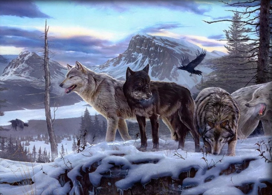 Northern Rocky Mountain wolves Diamond Painting
