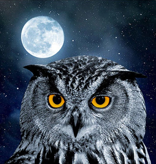 Owl & Full Moon Night Diamond Painting Kit