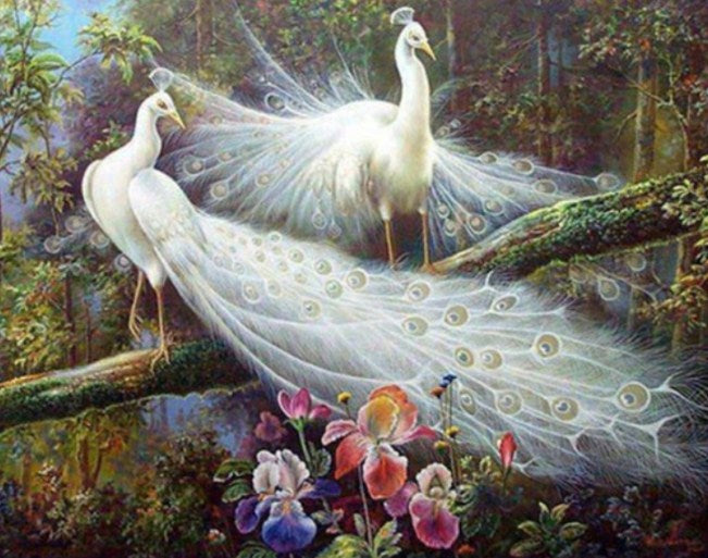 Pair of White Peacocks Diamond Painting