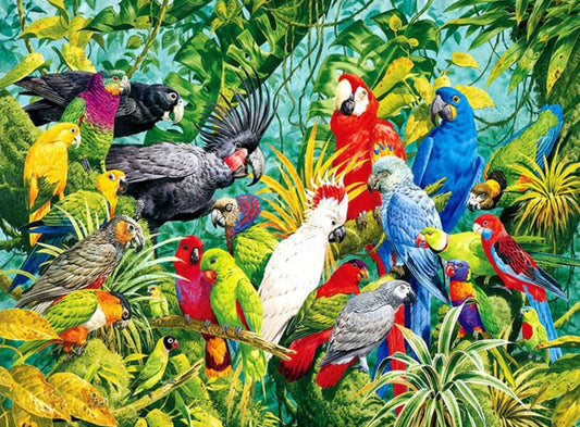 Parrots Kingdom Paint by Diamonds