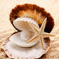 Pearl in the Oyster Paint by Diamonds