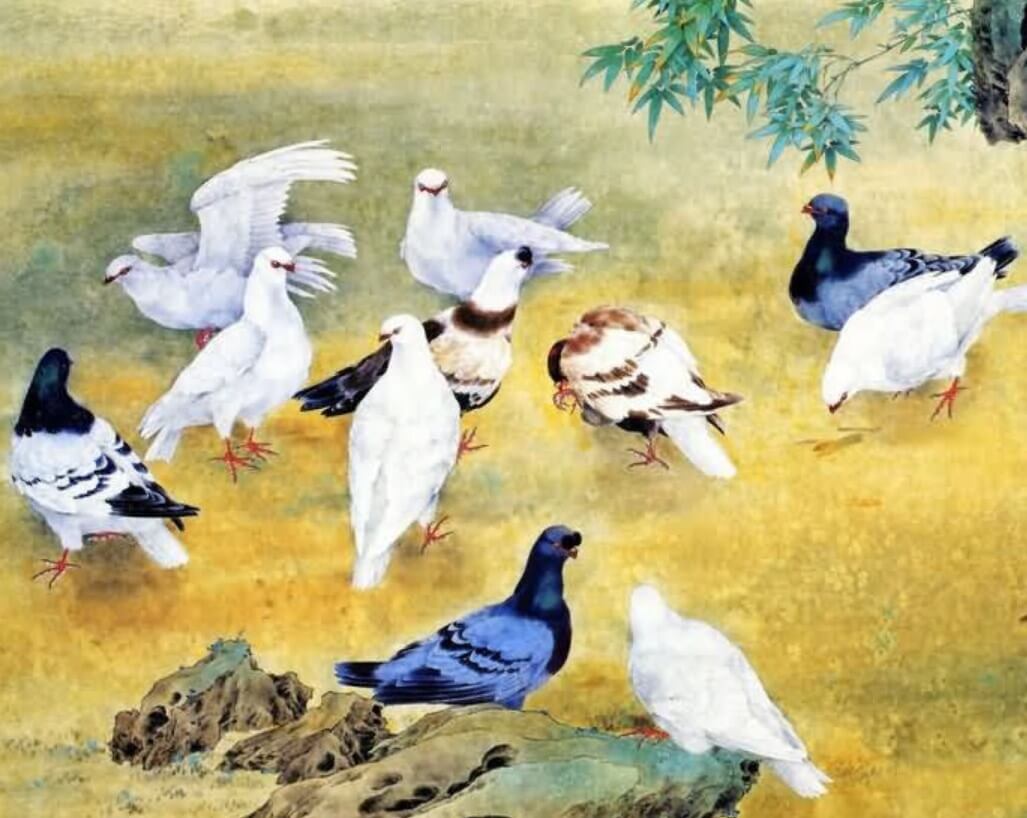 Pigeons Paint by Diamonds