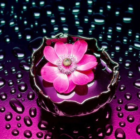 Pink Flower in Water & Raindrops Diamond Painting