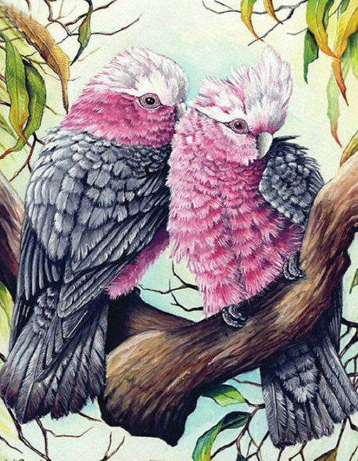 Pink & Grey Cockatoos Pair Diamond Painting