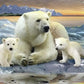 Polar Bears Paint by Diamonds