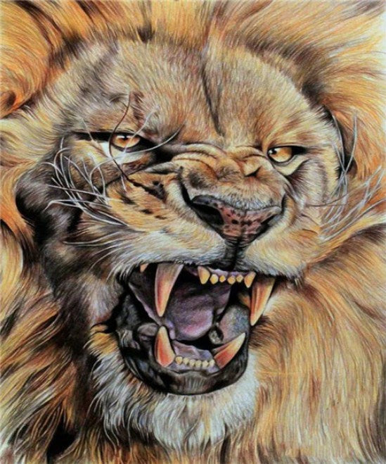 Raging Lion Diamond Painting Kit