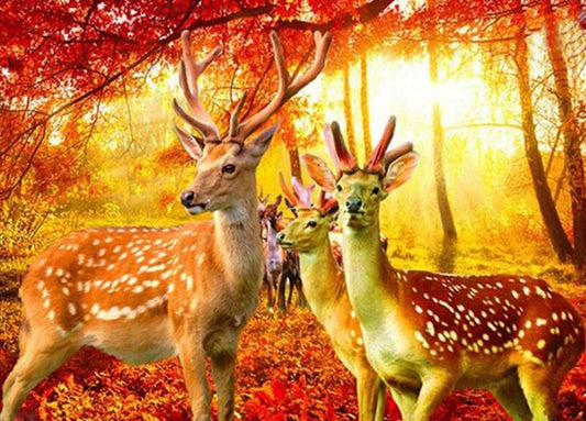 Autumn Forest & Deer Paint by Diamonds