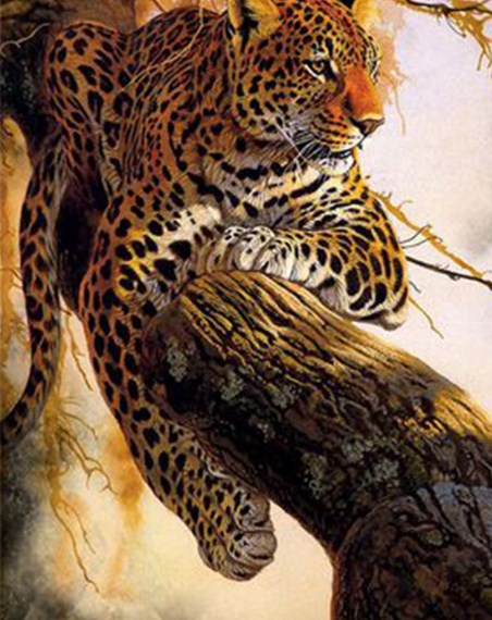 Resting Leopard Diamond Painting