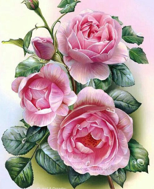 Rose Beauty Diamond Painting Kit
