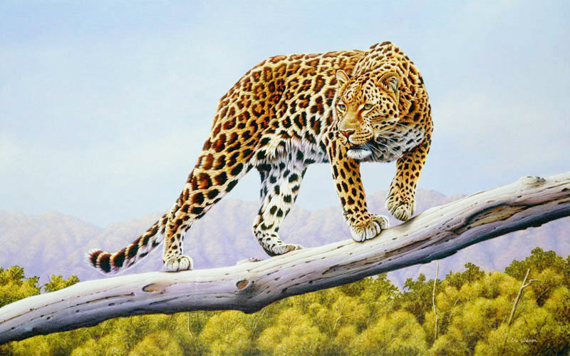 Painting of a leopard near the zambezi river,