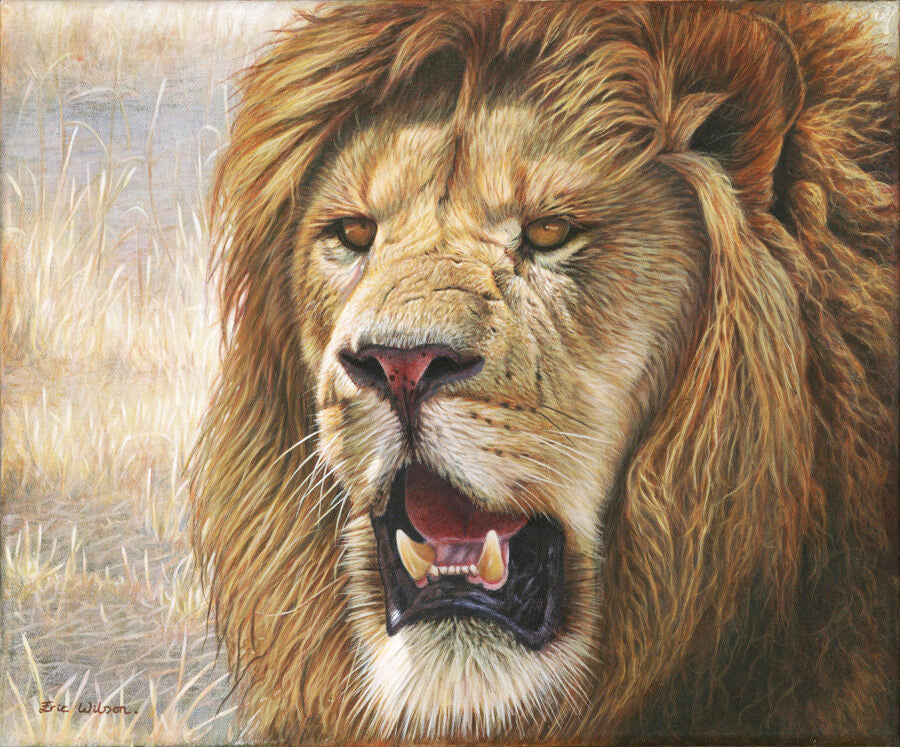 Samoni II - Lion Fine Art 