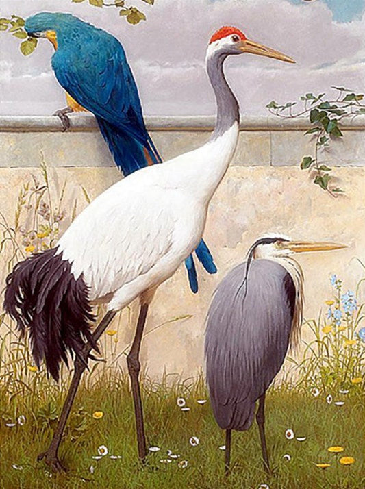 Sand Hill crane & Parrot Paint by Diamonds