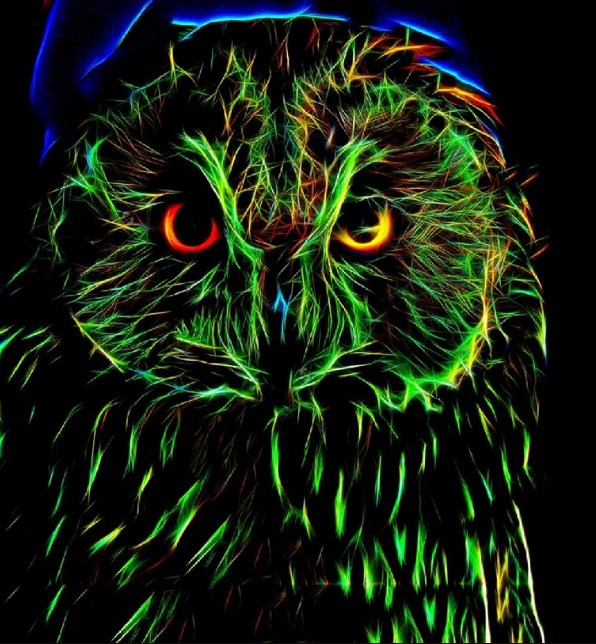 Screech Owl Diamond Painting Kit