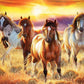 Setting Sun & Beautiful Horses Diamond Painting