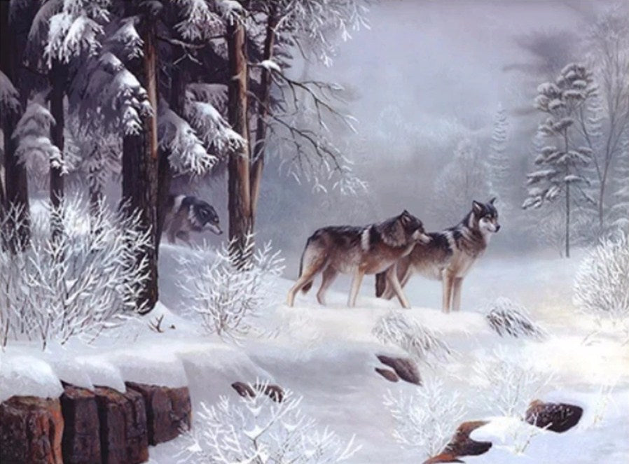 Snow Wolves Paint by Diamonds