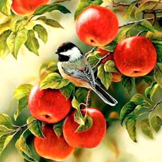 Sparrow Sitting on Apples Tree Diamond Painting