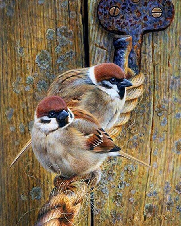 Sparrows Vierkante diamanten painting