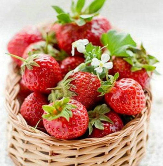 Strawberries DIY Diamond Painting