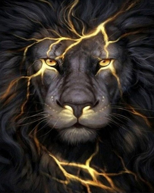 Stunning Black Lion Paint by Diamonds