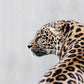 Stunning Jaguar Diamond Painting Kit