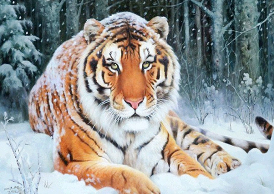 Stunning Tiger Under Snowfall Diamond Painting