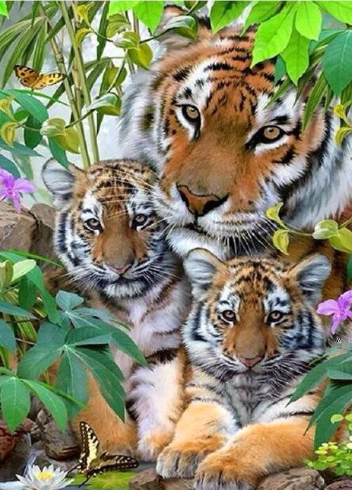 Tiger & Adorable Cubs Paint by Diamonds